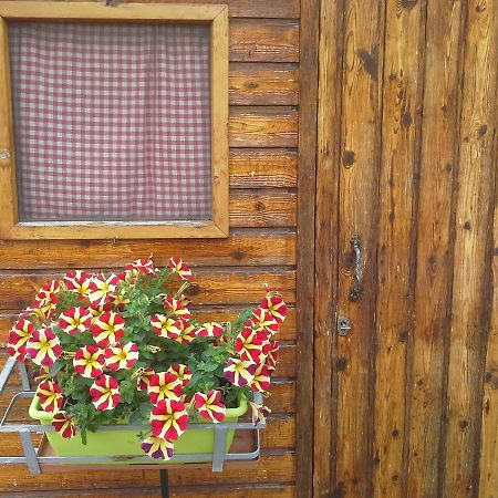 B&B Ciccilia Bentivoglio Bagian luar foto