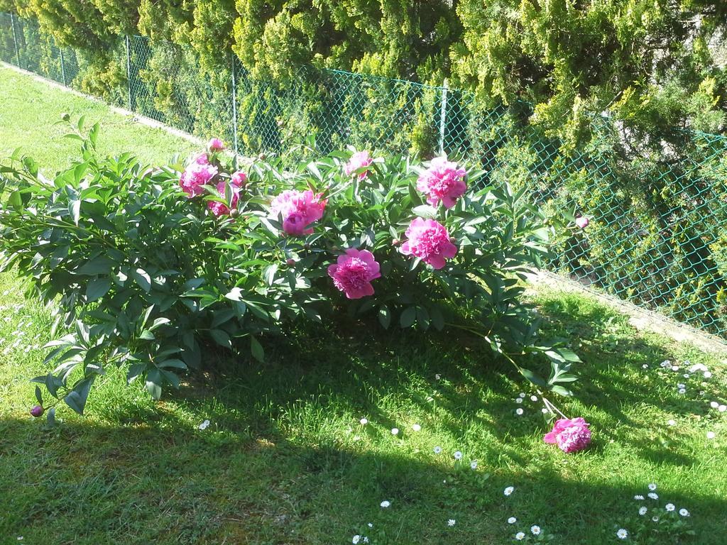 B&B Ciccilia Bentivoglio Bagian luar foto