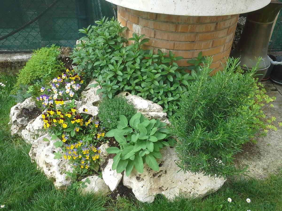 B&B Ciccilia Bentivoglio Bagian luar foto